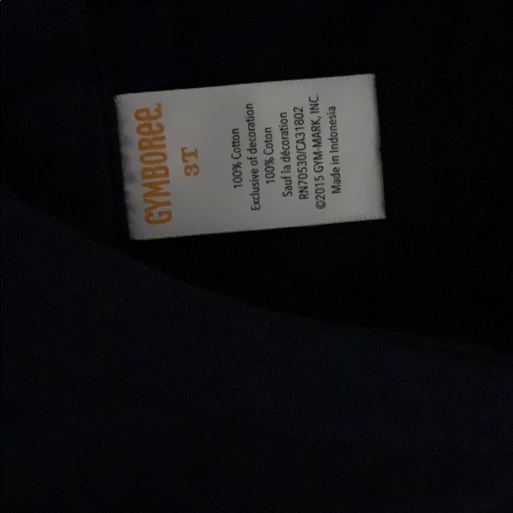 Gymboree Dress 3T - Picture 3 of 3